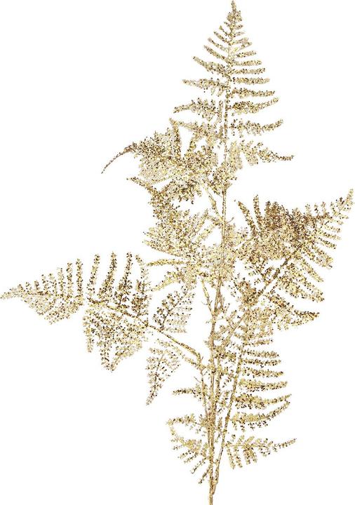 Viana Knstlicher Farn Asparagus Spargelfarn - kaufen bei Galaxus - Galaxus