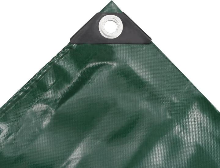 Produktbild vidaXL Plane (6 x 3 m)