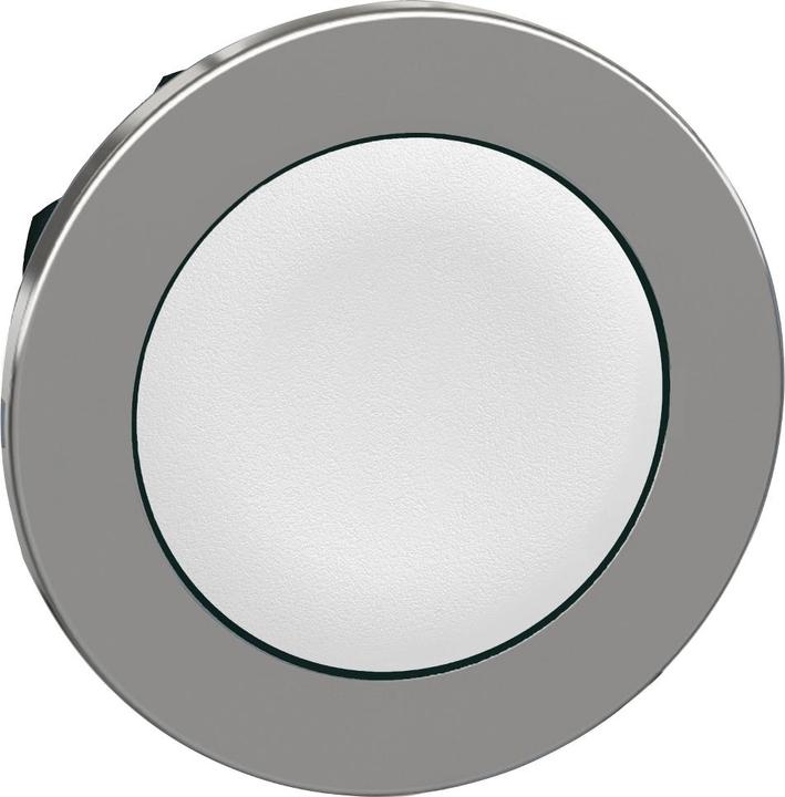 Actual product image Schneider Electric Push-button, metal, front, 30mm, ZB4FHCUST04