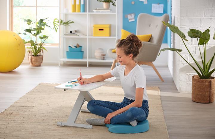 Actual product image Leitz Desk Converter Ergo Cosy