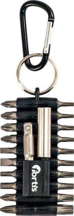 Immagine prodotto Fortis briciolo (PH3, TX25, PZ1, PZ3, TX 9, TX15, SL3, PH2, TX 6, TX 8, TX10, TX20, PH1, SL 5.5, PZ2, SL4.5, TX30, TX40, TX 27)