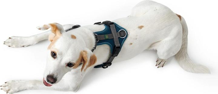 Image du produit Hunter Harnais Maldon, M-L, pétrole/gris, taille chien : M, L (M, L, Chien, Sport canin)