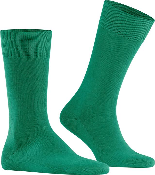 Produktbild Falke Family SO (43 - 46)