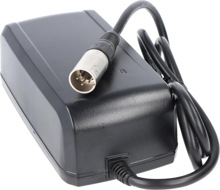 Produktbild Giant Schnell-Ladegerät 41.8V 5 pins, DPS-83CB A, GLI180A, NC-SSC05GNT (E-Bike Ladegerät)