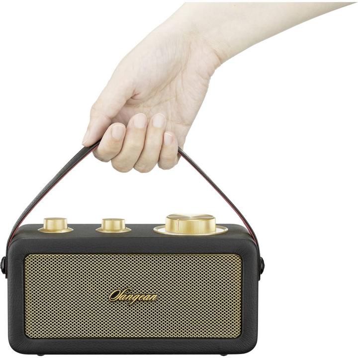 Productafbeelding Sangean RA-101 Oplaadbare Radio FM Bluetooth®, AUX Oplaadbaar Zwart, Goud (FM, Bluetooth)