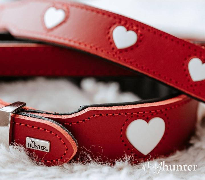 Image du produit Hunter Collier Love pour chiens 37 (Général)