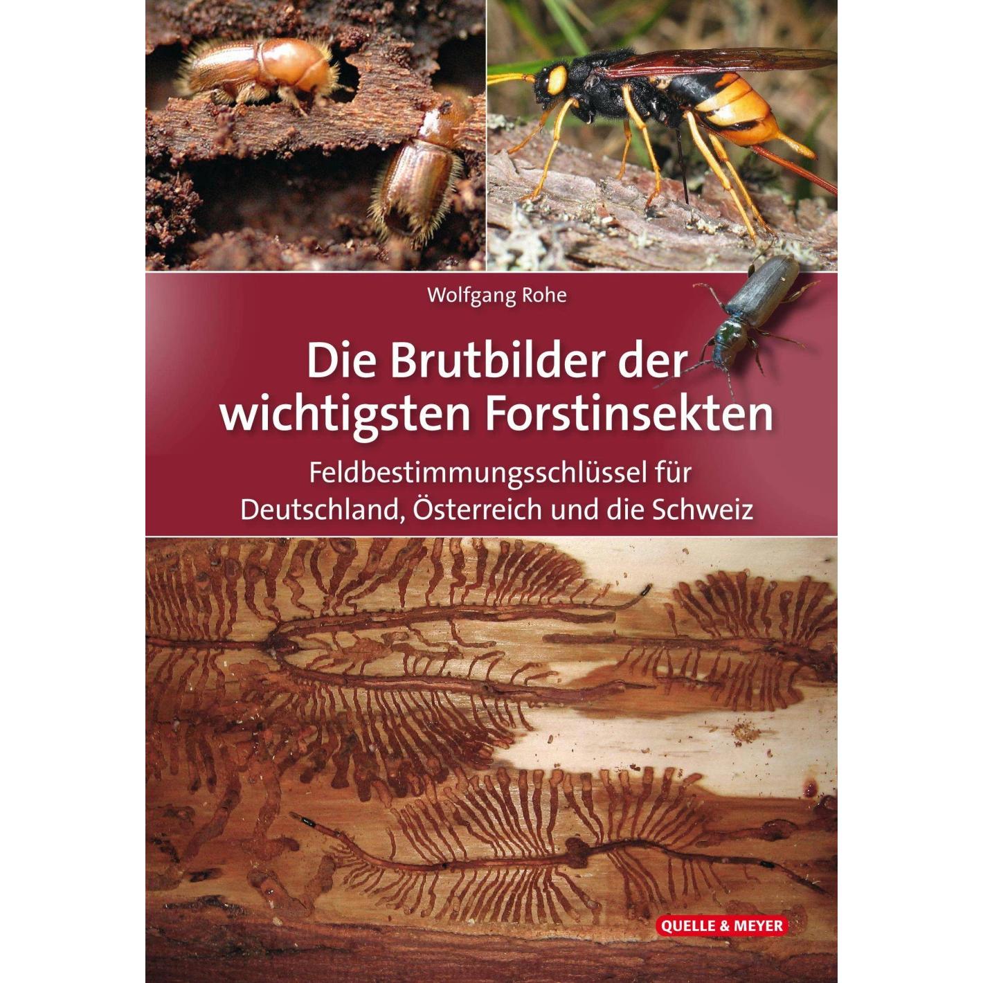 Thumbnail - Wolfgang Rohe, Ratgeber von Wolfgang Rohe