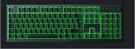 Actual product image Razer Ornata V3 X (IT, Cable)