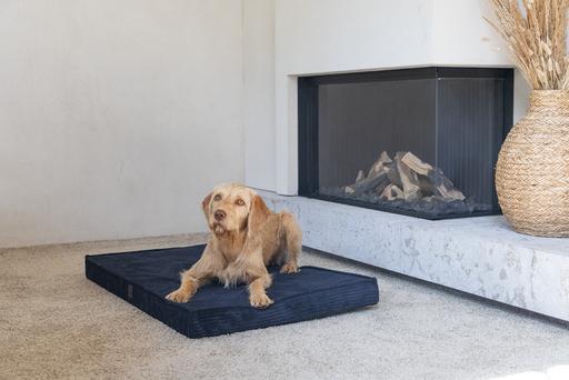 Image du produit Designed by Lotte Coussin pour cage Orthopaed Ribbed (Chien)