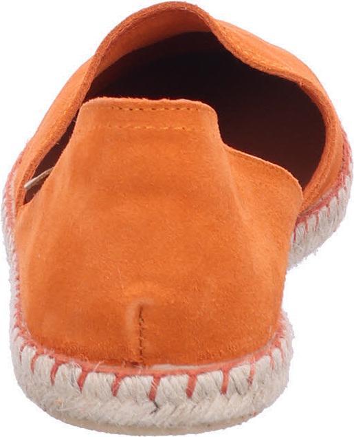 Immagine prodotto Verbenas Carmen (42)