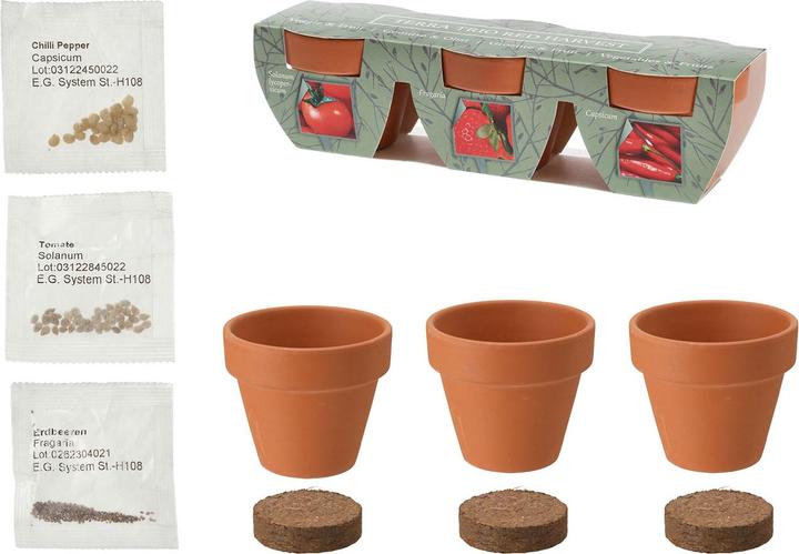 Image du produit ProGarden Mini Gewächshaus mit Anzuchtset - Tomate, Erdbeer und Chilis