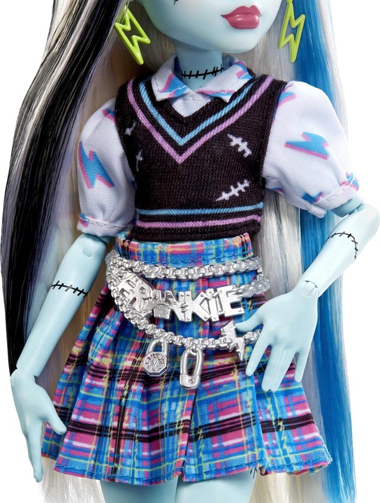 Actual product image Monster High Frankie Stein Doll With Pet And Accessories