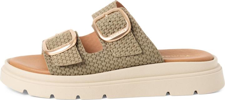 Olive Struct., struttura dell'oliva