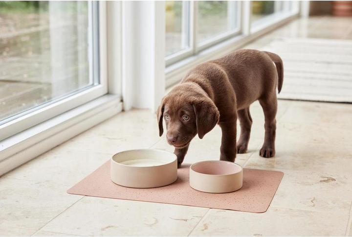 Immagine prodotto OYOY Zoo Ciotola in ceramica Sia M, Ø 17 x H 6 cm, Choko (2.53 l)