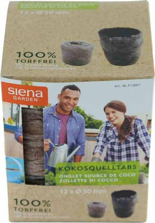 Siena Garden Kokosnoot lentepotten