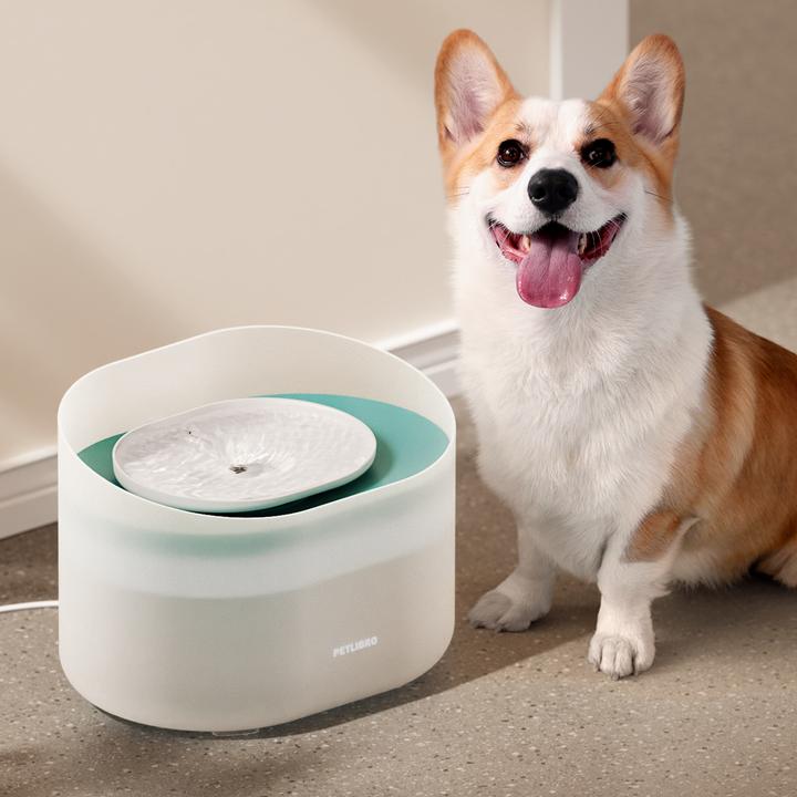 Productafbeelding Petlibro Hunde-Trinkbrunnen – 2,1 Gallonen / 8L Kapsel-Design (8 l)
