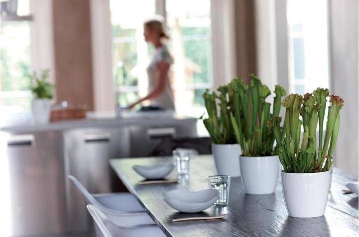 Produktbild Elho Brussels Diamond (14 x 13 cm)