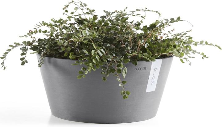 Produktbild Ecopots Frankfurt (50 cm)