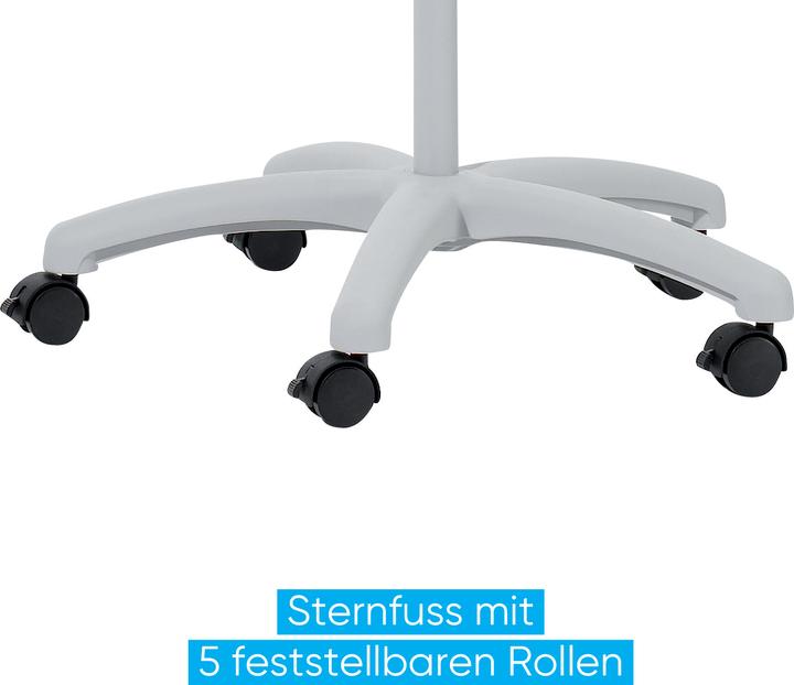 Immagine prodotto Franken Lavagna a fogli mobili (65 x 100 cm)