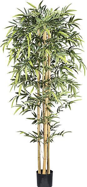 Produktbild kaiserkraft Bambus mit Naturstamm (210 cm)