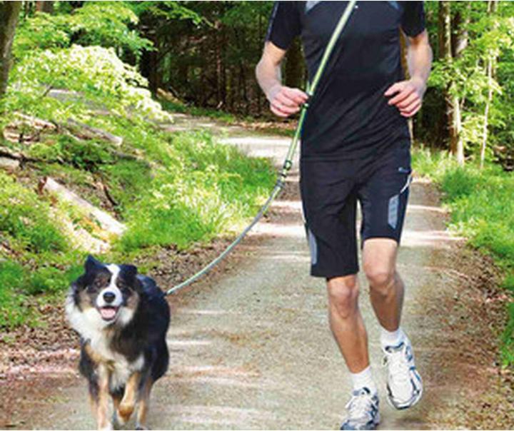 Actual product image Trixie Jogging leash (Dog, Jogging)