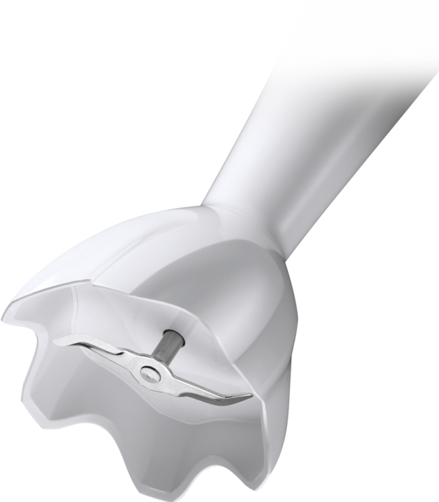 Actual product image Braun MQ 100 DIP