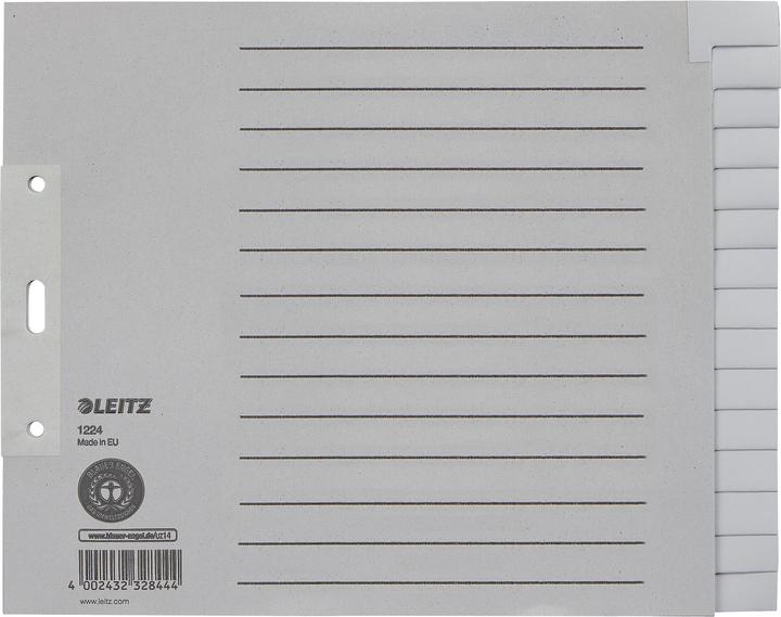 Actual product image Leitz Register paper