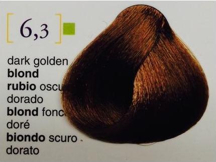 Image du produit Salerm Salermvision 6.3 Dark Golden Blond