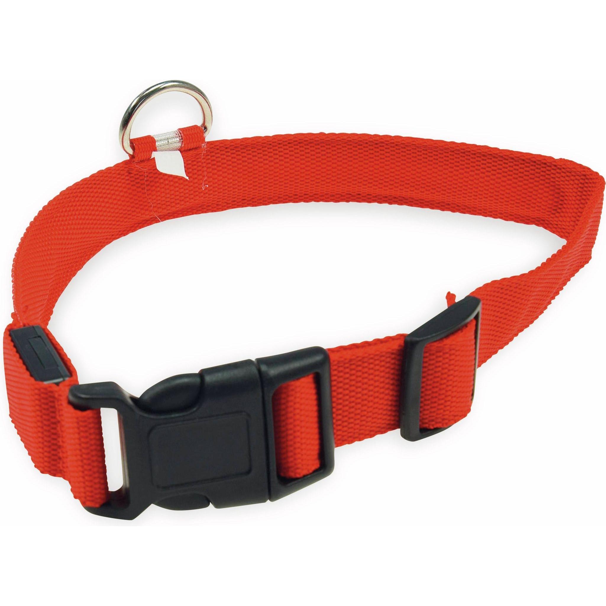 Chilitec Hunde-Halsband Grösse L, rot, mit LED-Licht (L, Hund, Allgemein), Halsband + Leine