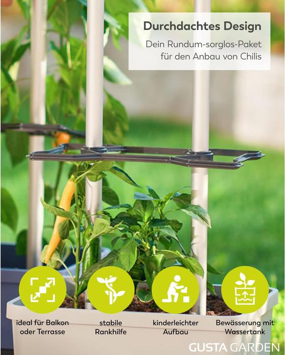 Actual product image Gusta Garden Charly Chilli XL