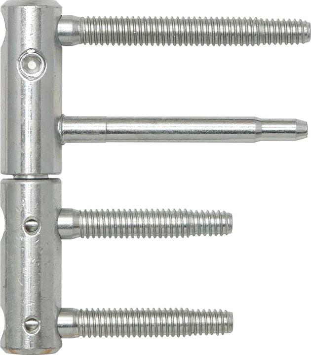 Produktbild SFS Türband 3-DIM 2-tlg. Bolzen 80 bzw.55mm,Tragkraft 120kg,ø 20mm,verzinkt silber