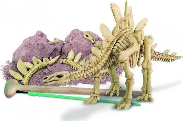 Actual product image 4M Dig a Stegosaurus Skeleton