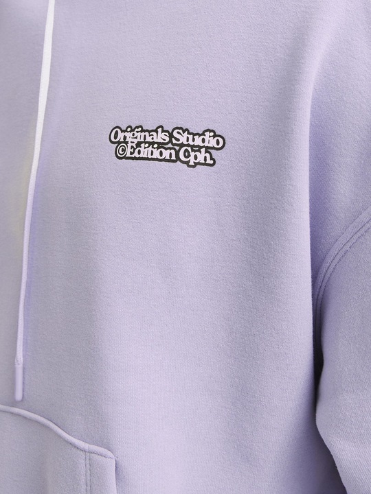 Produktbild Jack & Jones Gedruckt Kapuzenpullover Kapuzenpullover (XXL)