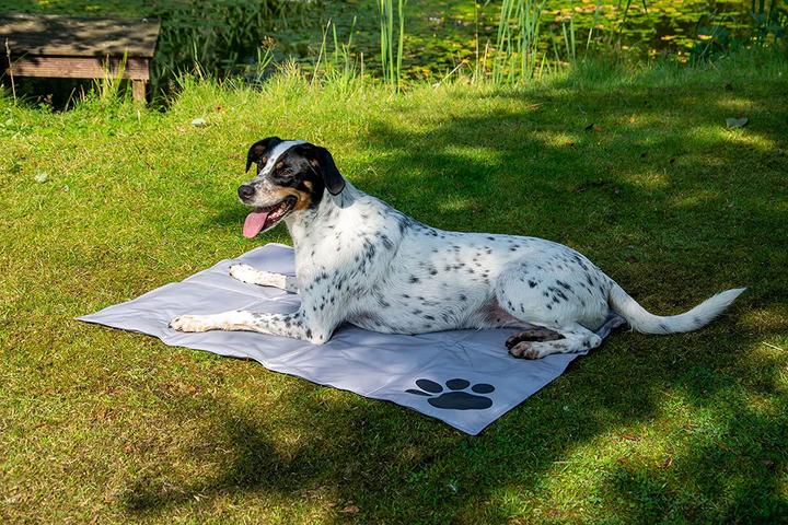 Produktbild Dobar Kühlmatte (Hund)
