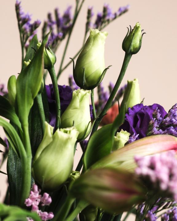 Image du produit feey So kunterbunt wie du Deluxe (Fleurs coupées, 17x)