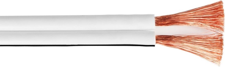 Produktbild Teufel C4530S (30 m, 4 mm²)