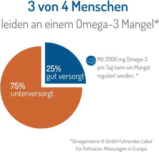 Produktbild Norsan Omega-3 Premium (1 Stück, Öl, 417 g)