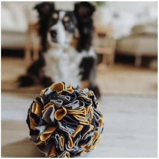 Immagine prodotto Hunter Sniffing ball Eiby (Palla giocattolo per cani)