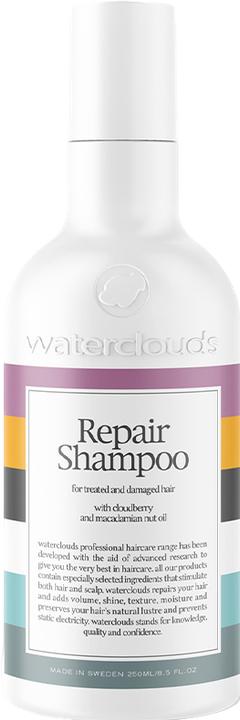 Image du produit Waterclouds Réparation (250 ml, Shampoing liquide)