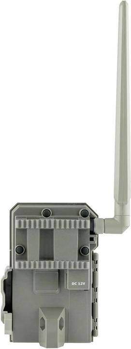 Actual product image Spypoint LM2