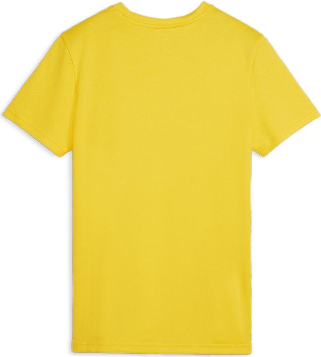 Actual product image Puma teamGOAL Jersey Wmn (XL)