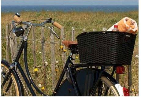 Produktbild Basil Weave WP (37 l)