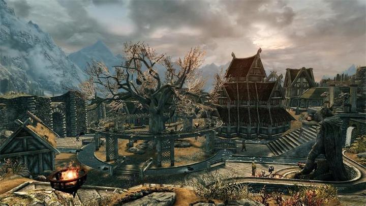 Image du produit Bethesda The Elder Scrolls V : Skyrim (Switch, Multilingue)