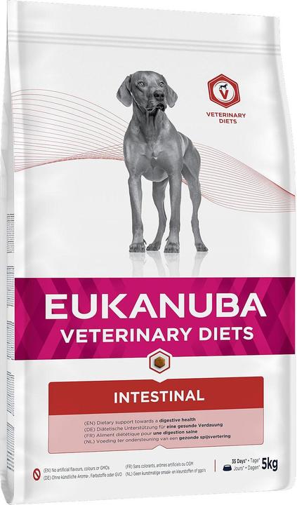 Image du produit Eukanuba Croquettes pour chiens Intestinal (Adulte, Senior, 1 pcs, 5000 g)