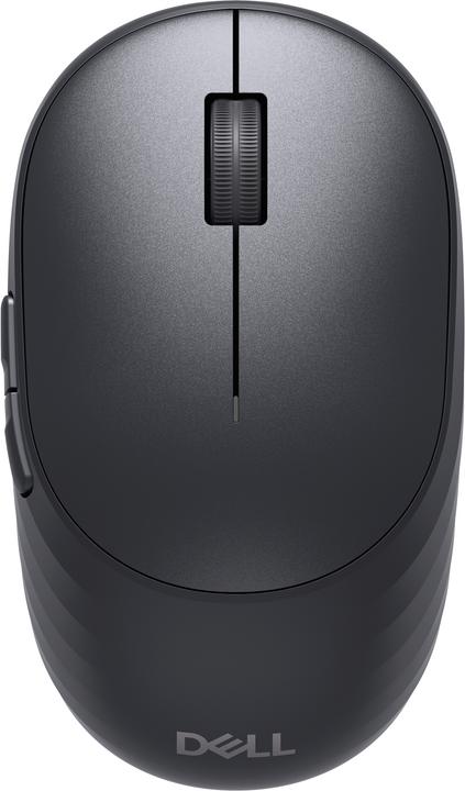 Souris