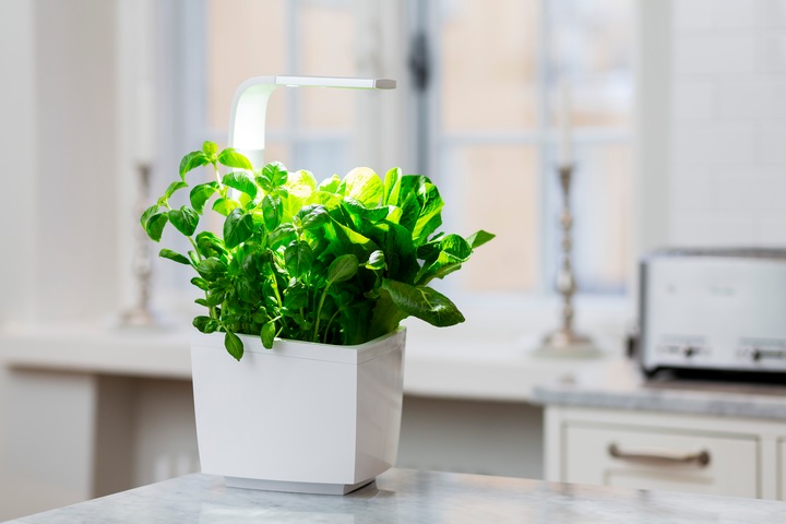 Produktbild Tregren Kräutertopf T3 (19.50 cm)