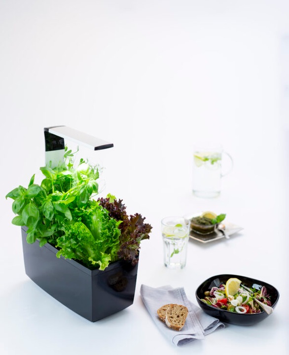Produktbild Tregren Kräutertopf T6 (34.50 cm)