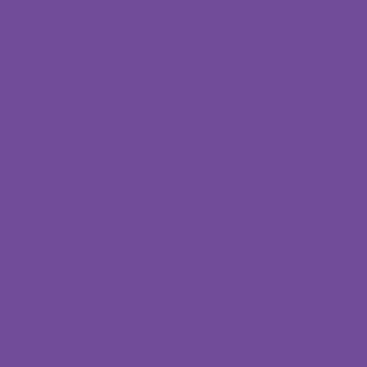 Productafbeelding Cricut Strijkfolie Inweekbare inkt 2 stuks, violet