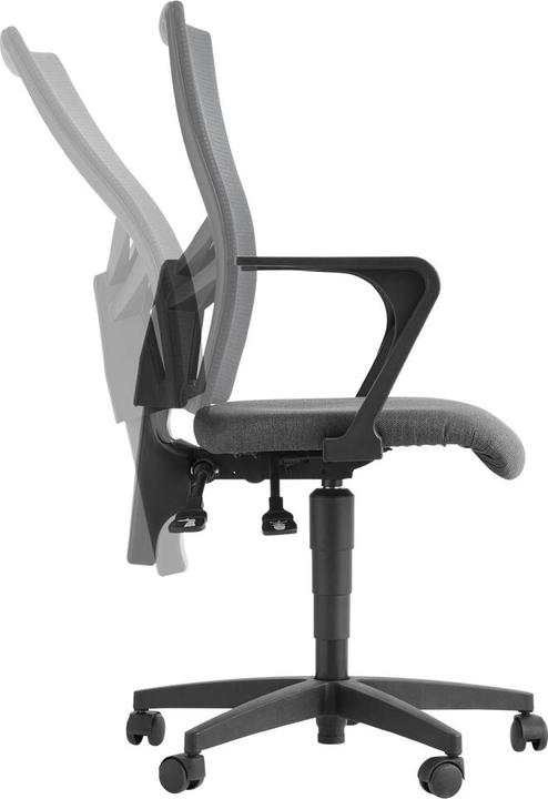 Actual product image Voleo Borgo