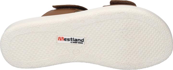 Actual product image Westland 25403-409 (38)